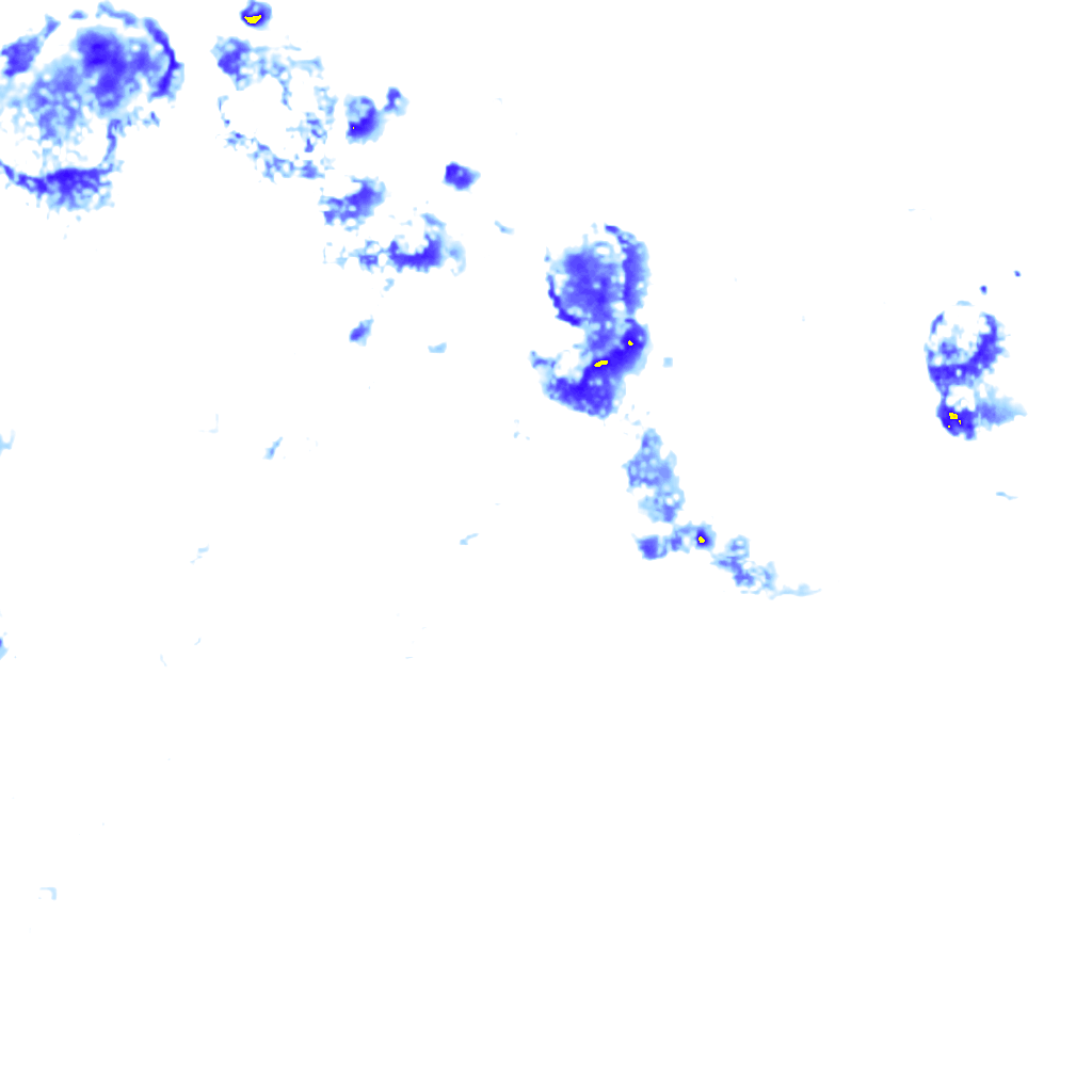Image Layer