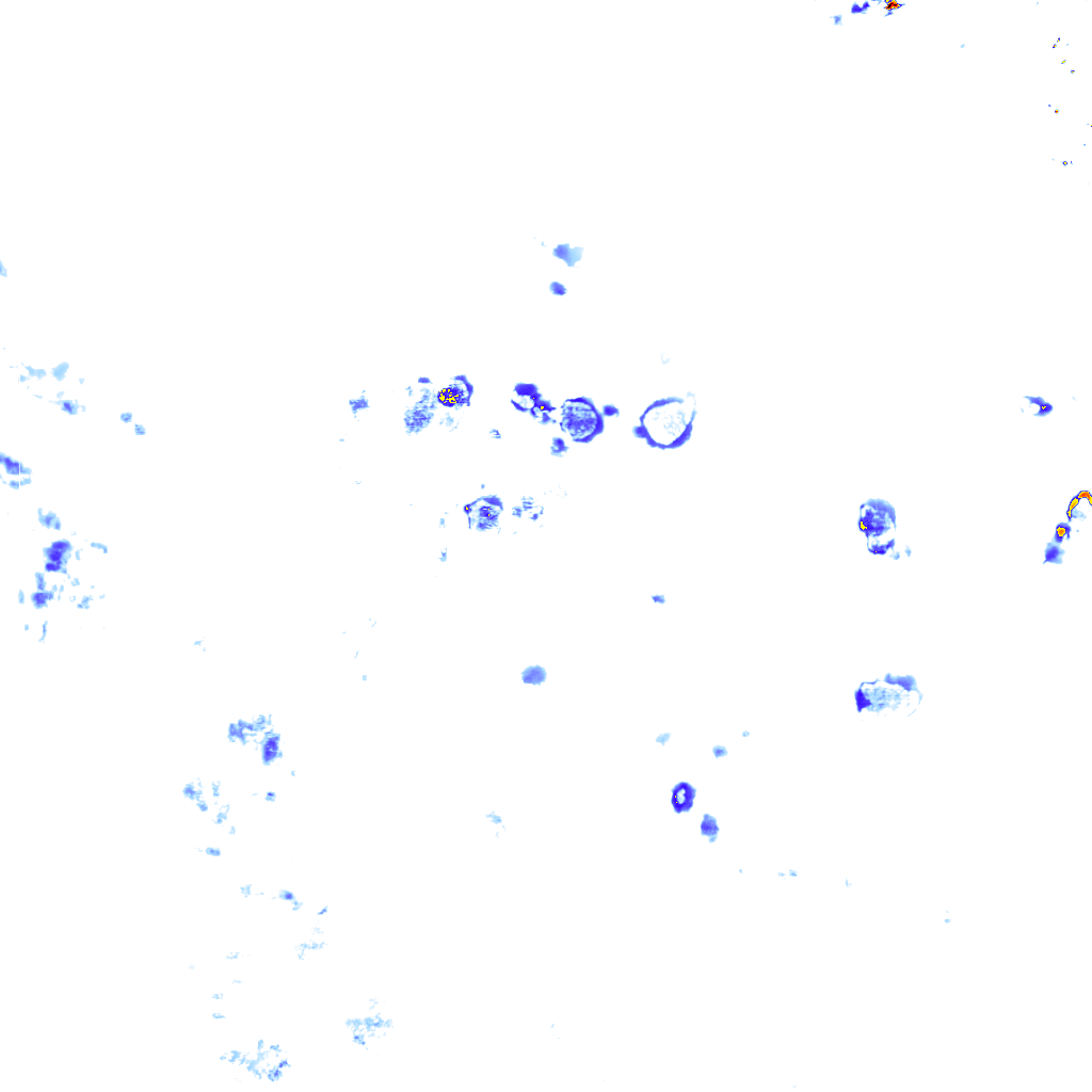 rainLayer