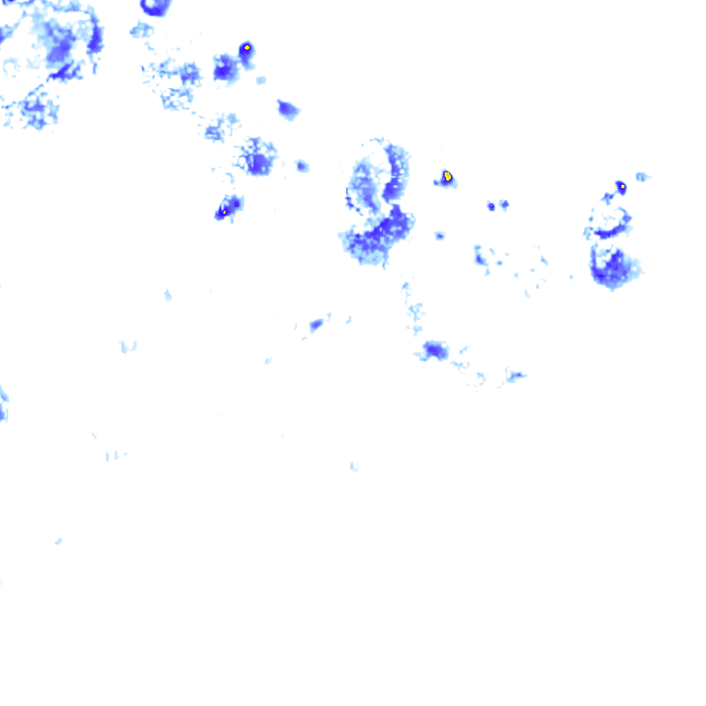 rainLayer
