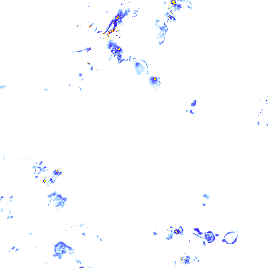 rainLayer