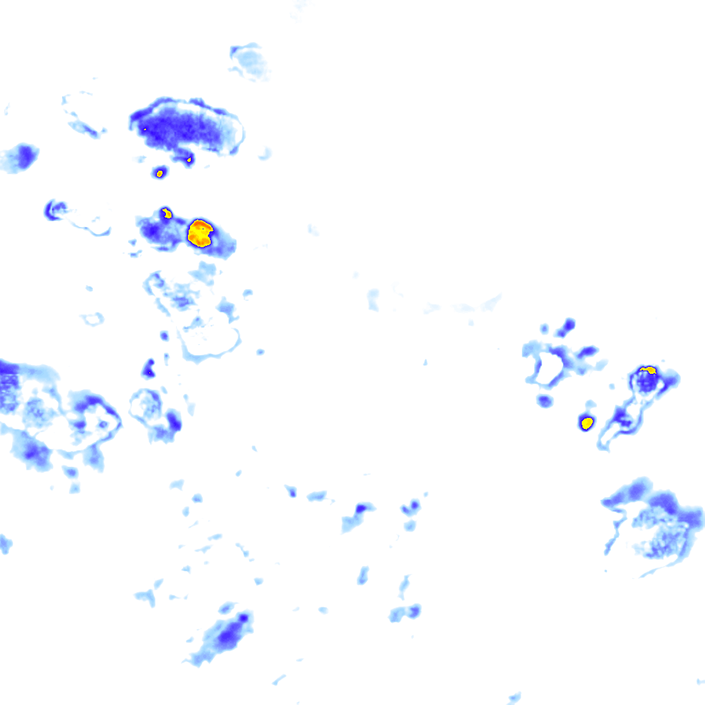 Image Layer