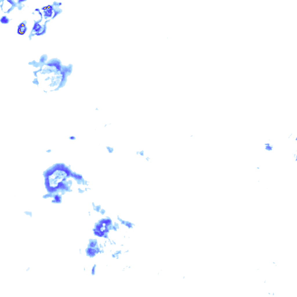 rainLayer