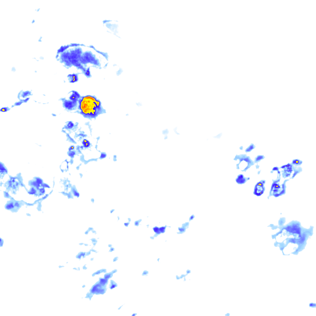 rainLayer