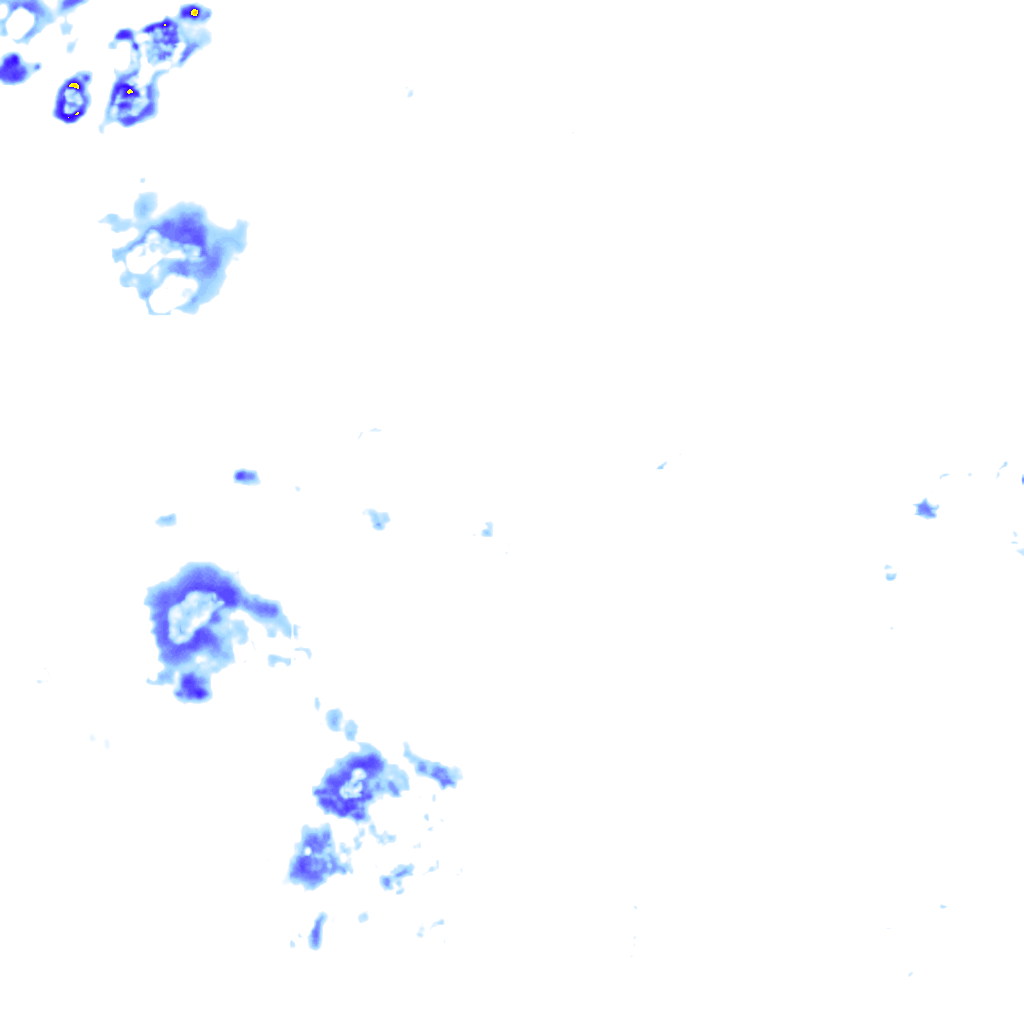 rainLayer