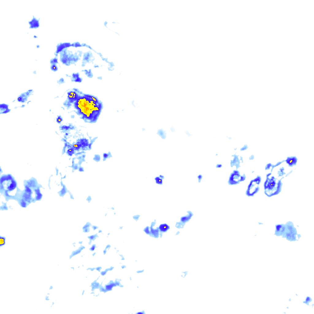 rainLayer