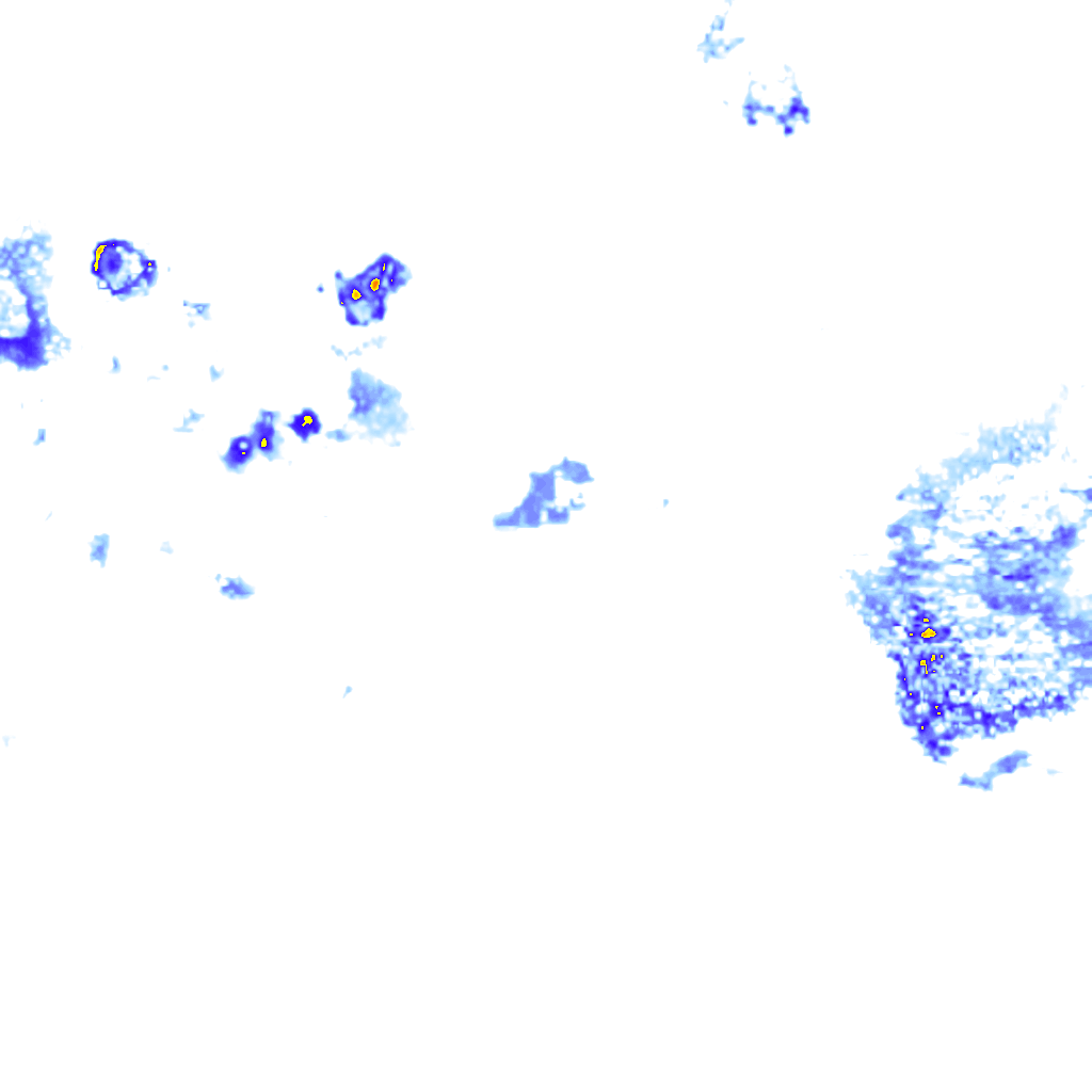 rainLayer