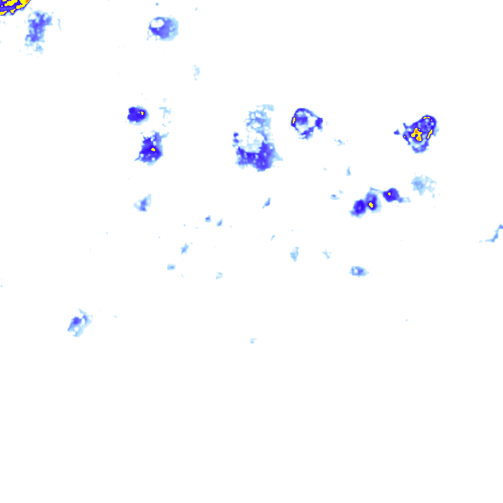 rainLayer