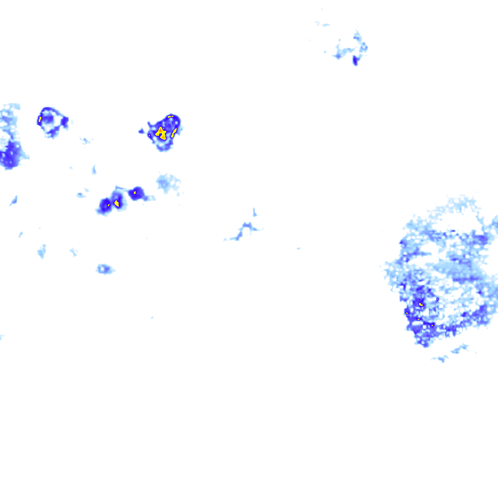 rainLayer