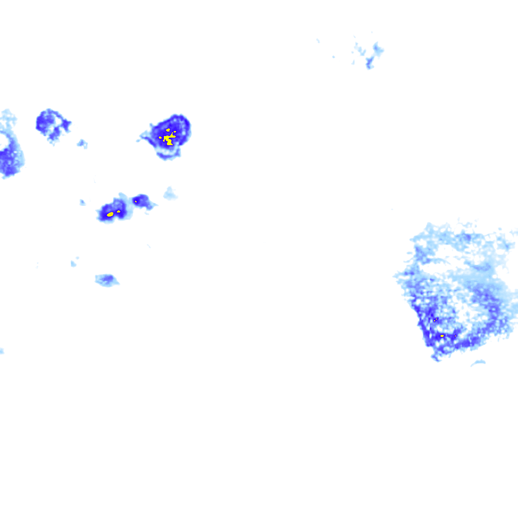 rainLayer
