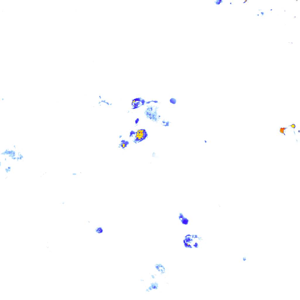 Image Layer