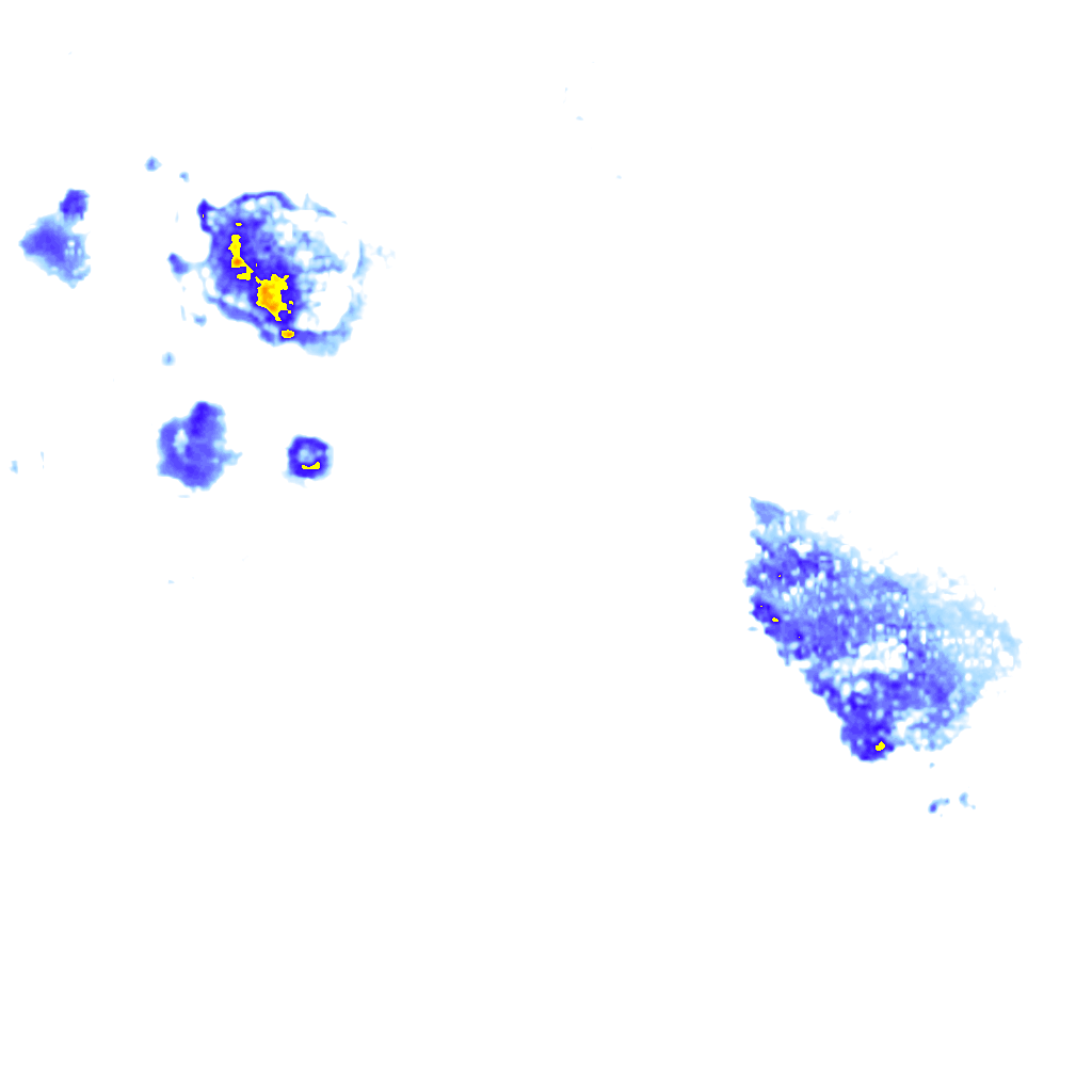Image Layer