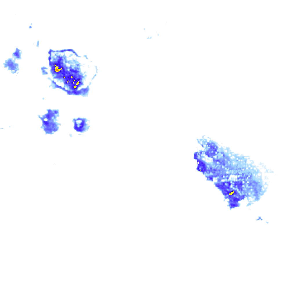 Image Layer