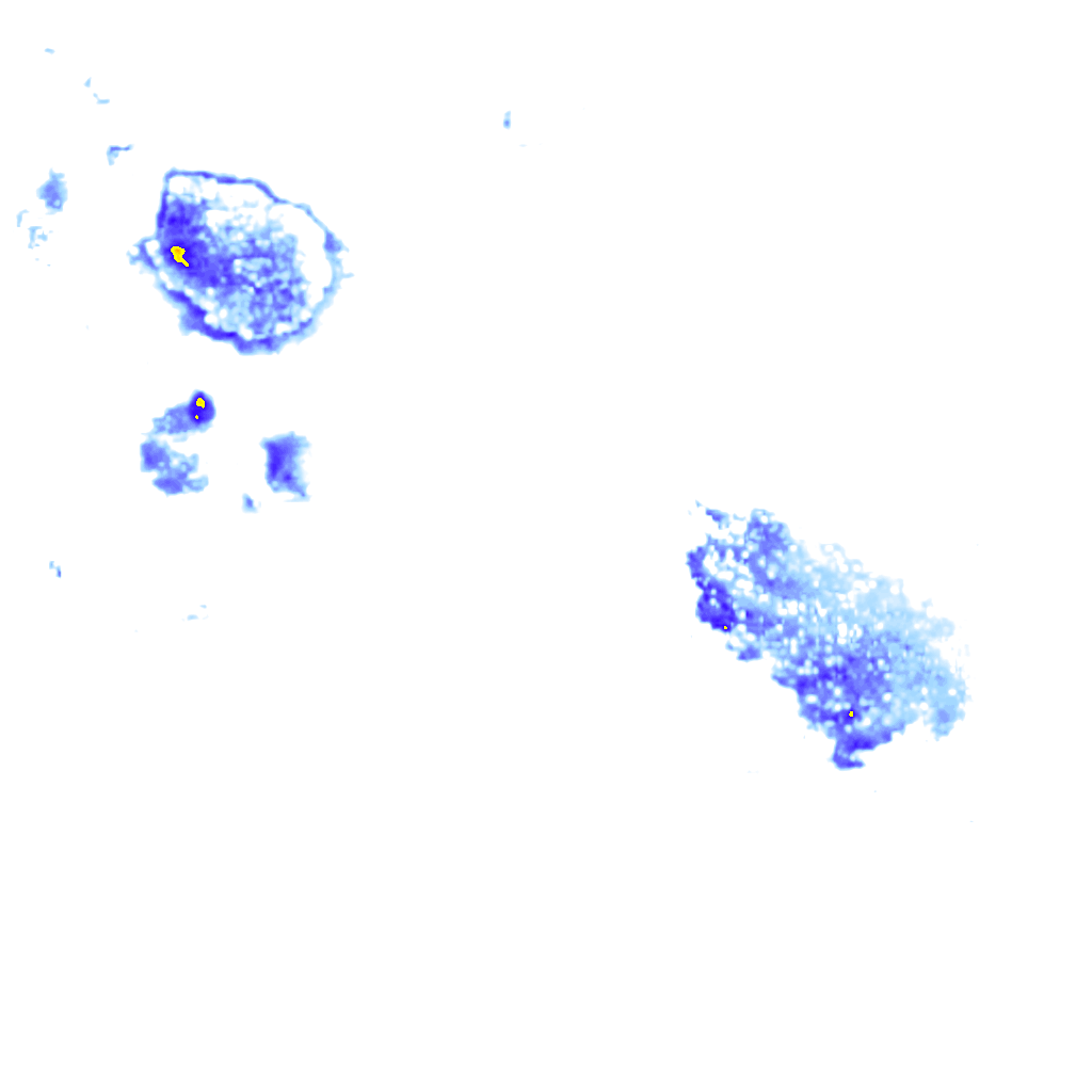 Image Layer