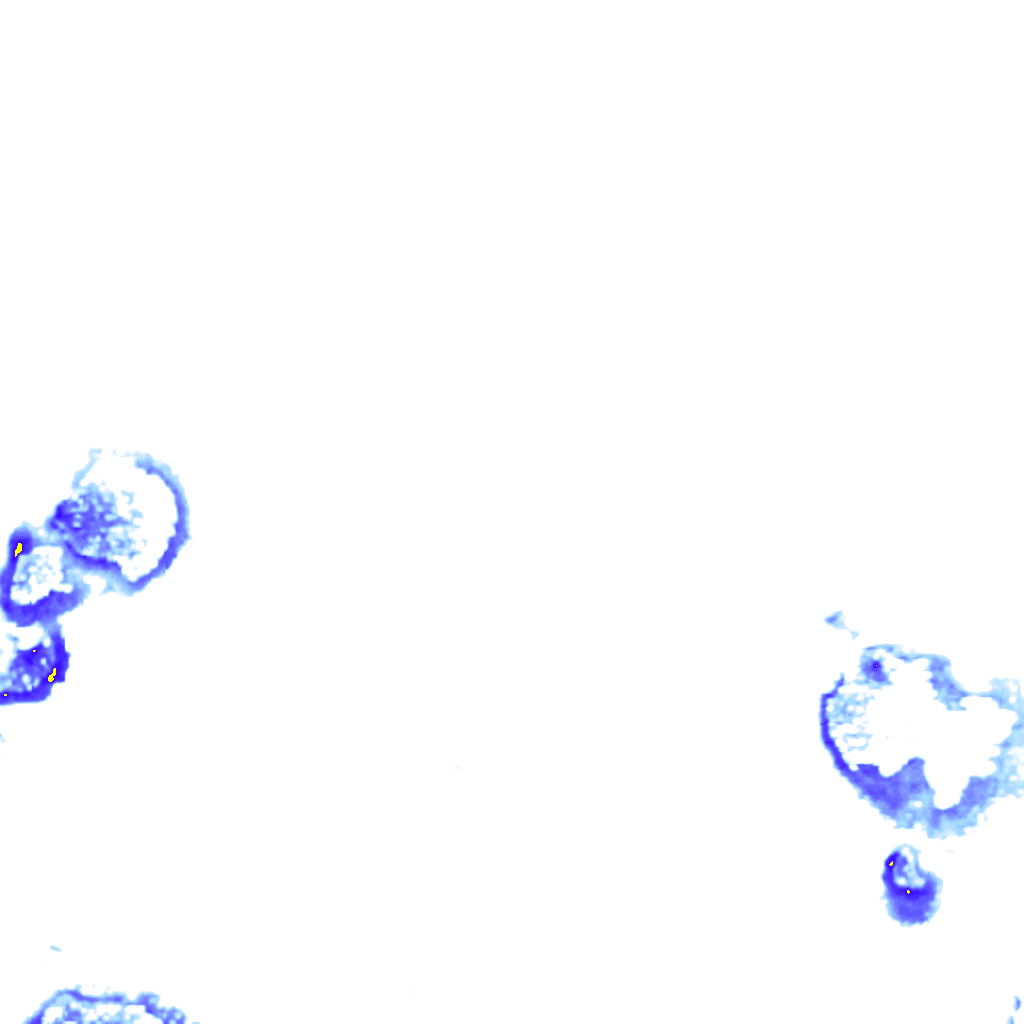 rainLayer