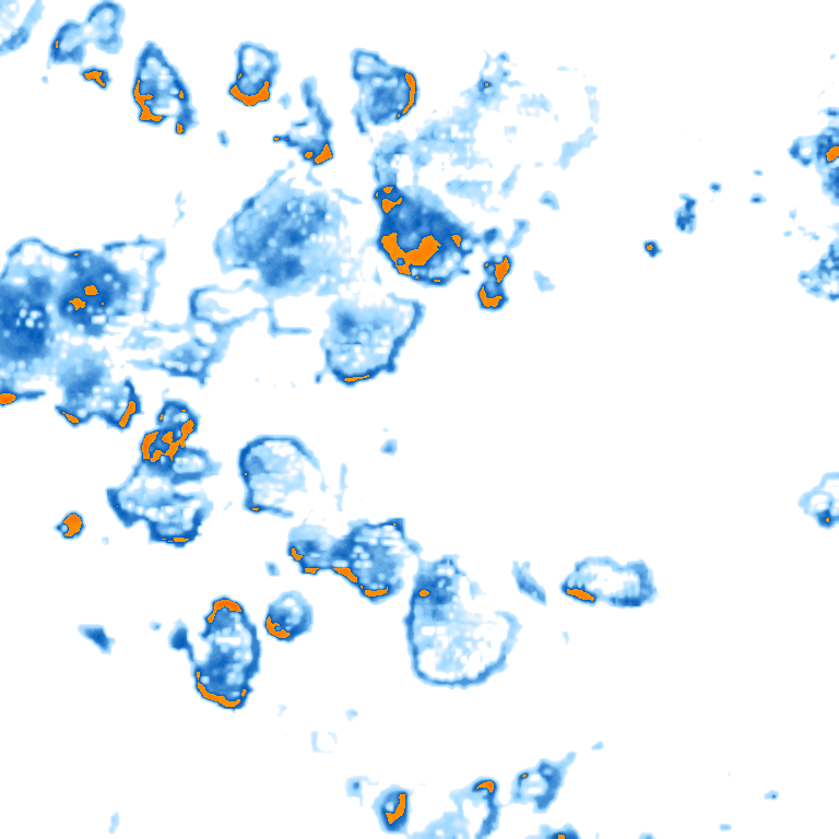 rain layer