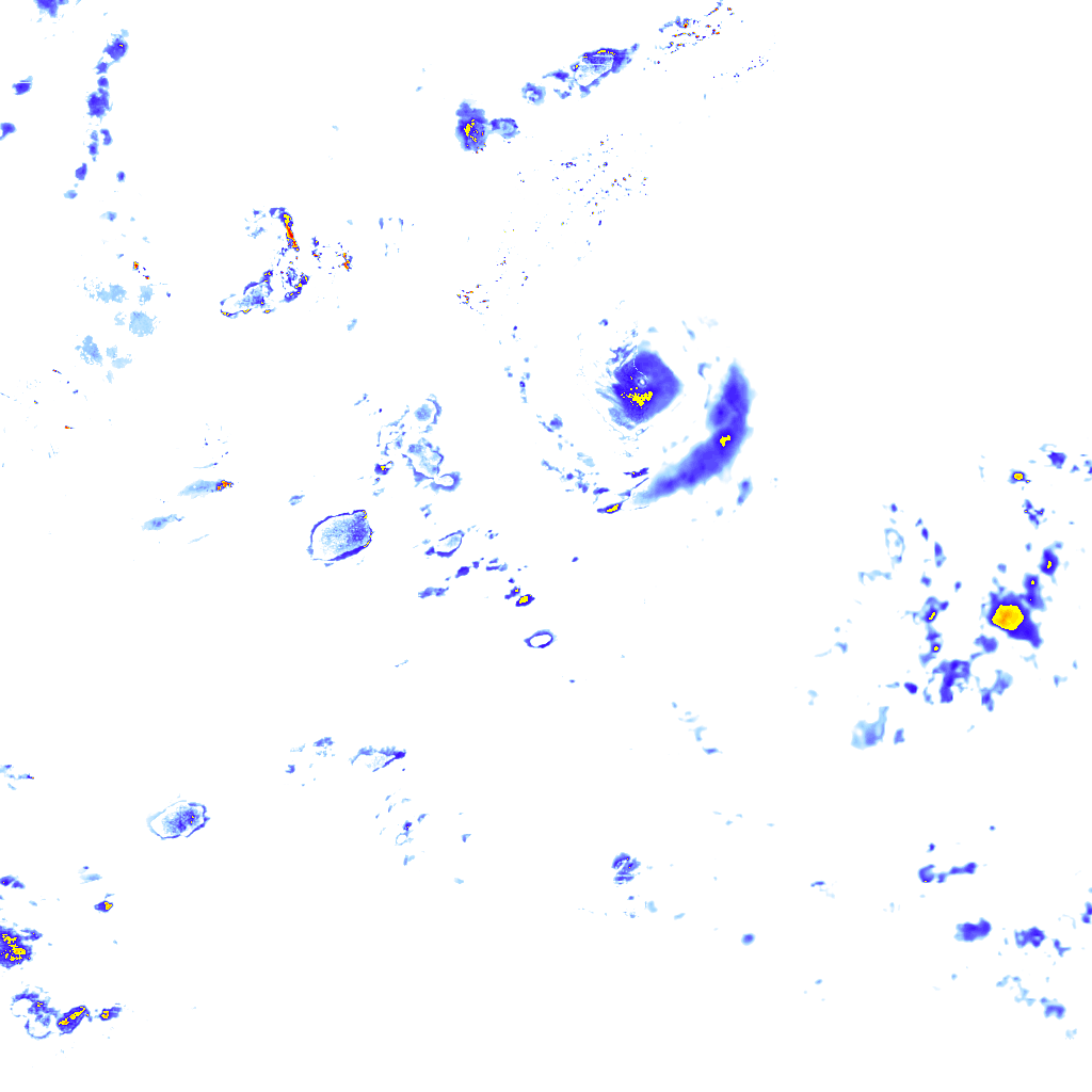 rainLayer
