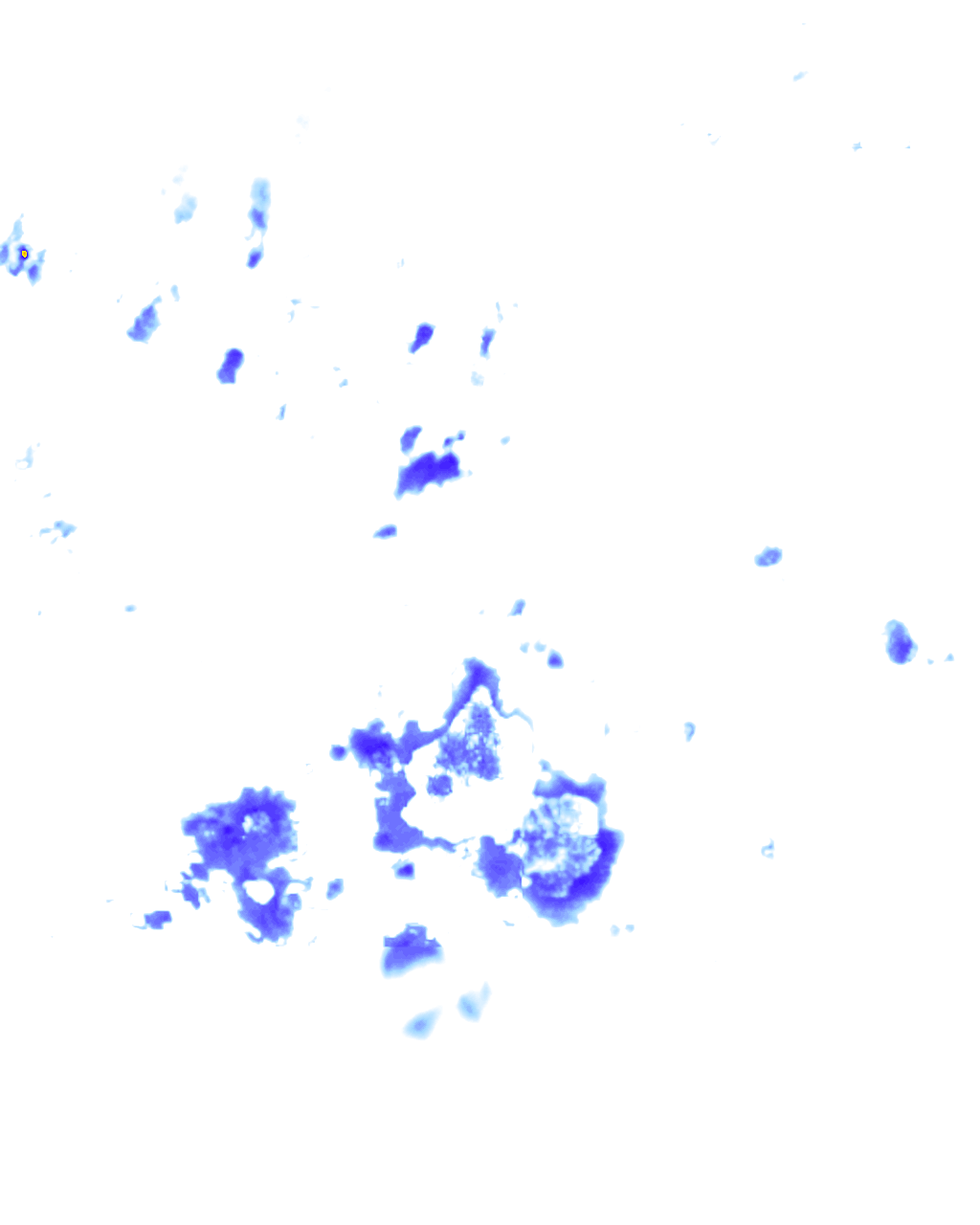 Image Layer