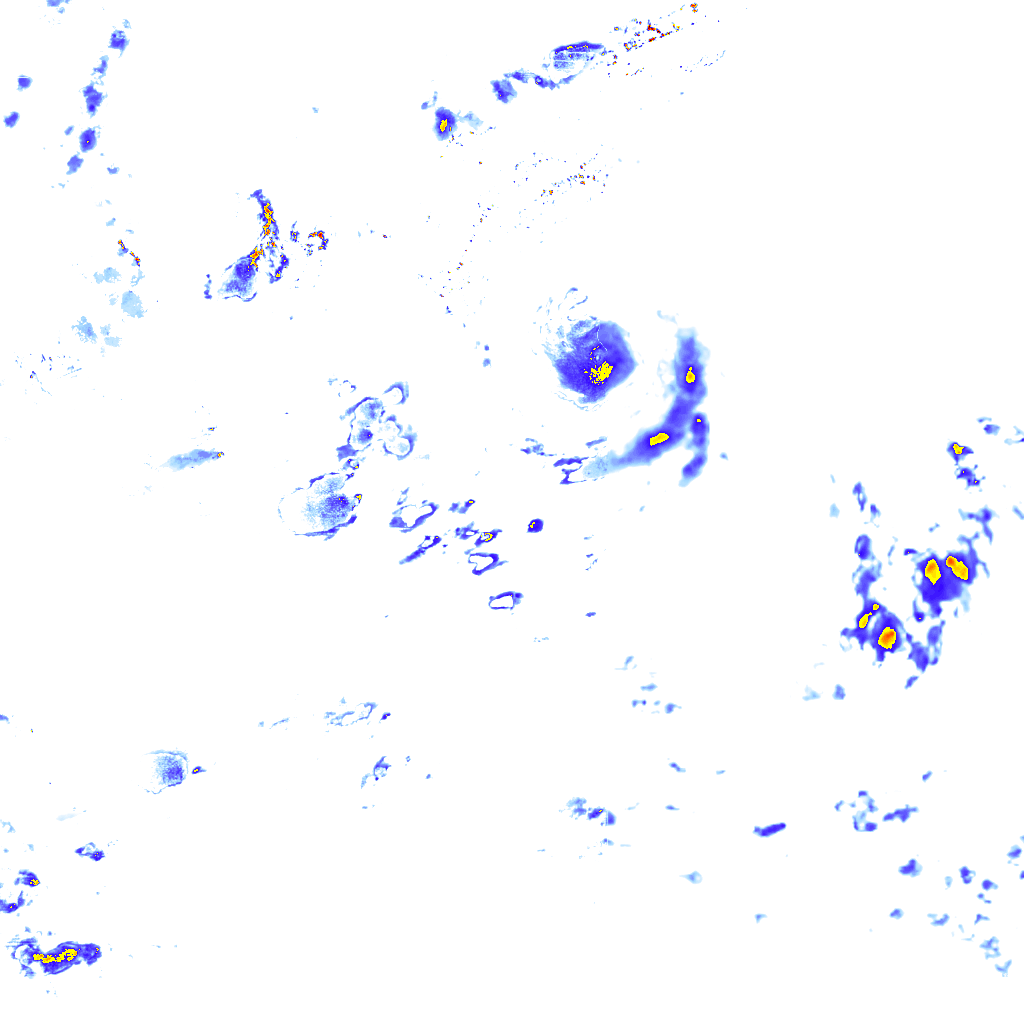 rainLayer