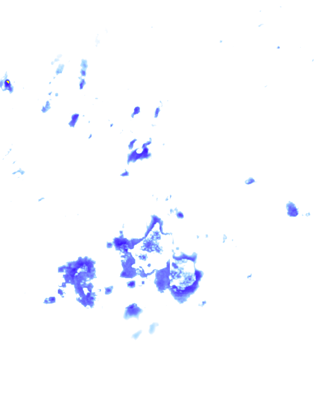 rainLayer