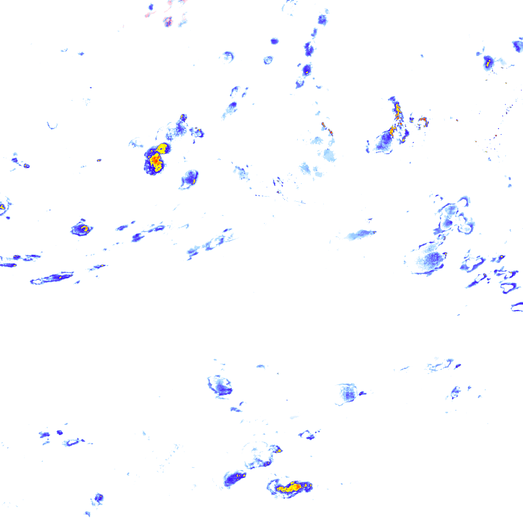 rainLayer