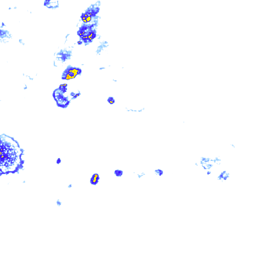 rainLayer