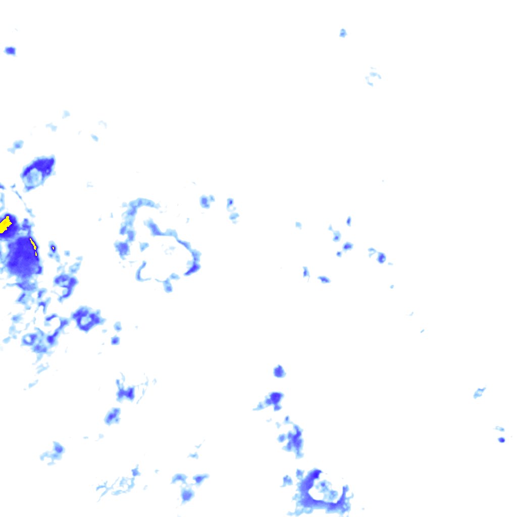 rainLayer
