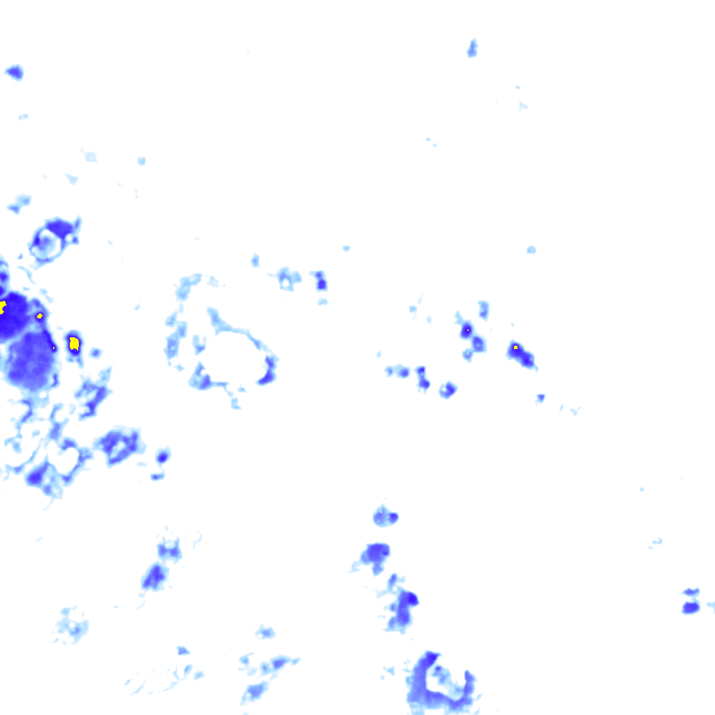 rainLayer