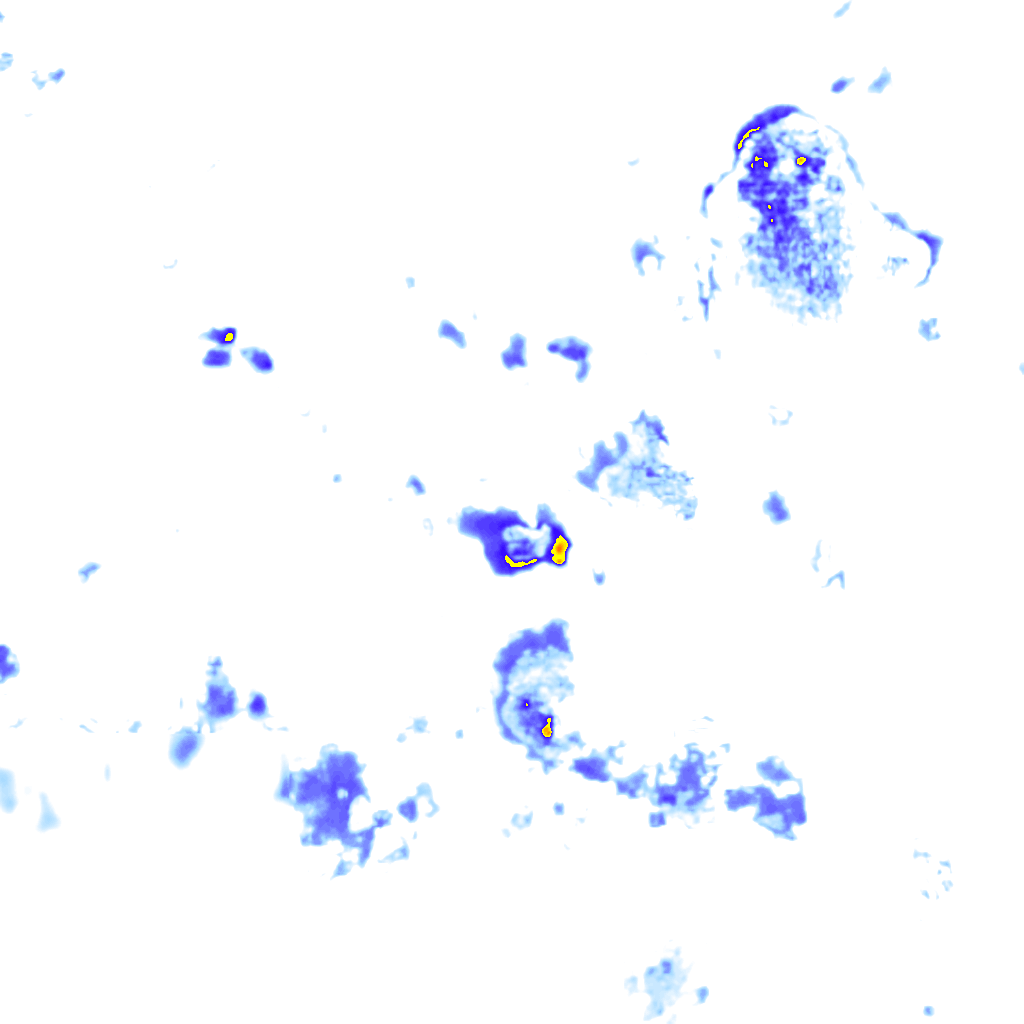 rainLayer