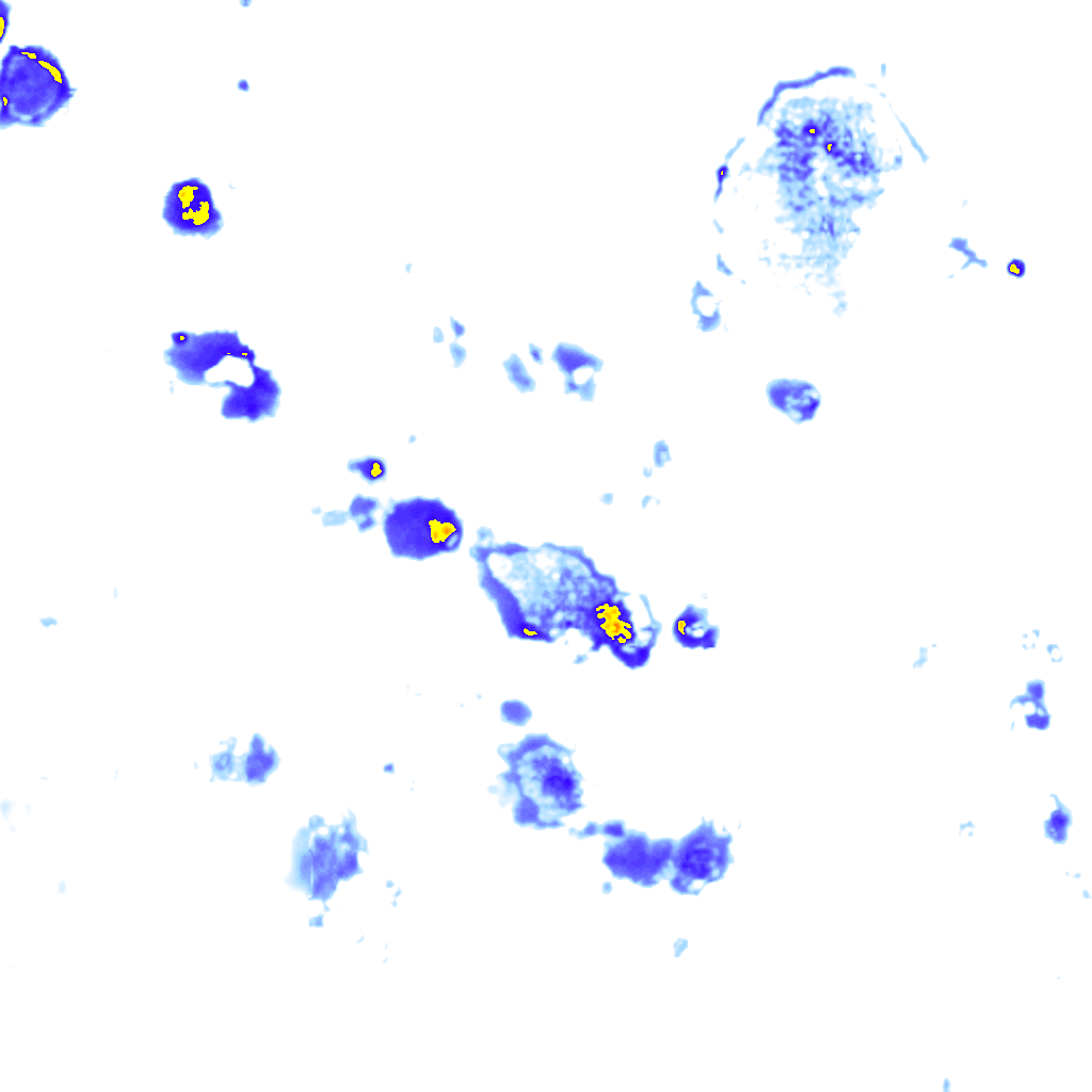 Image Layer