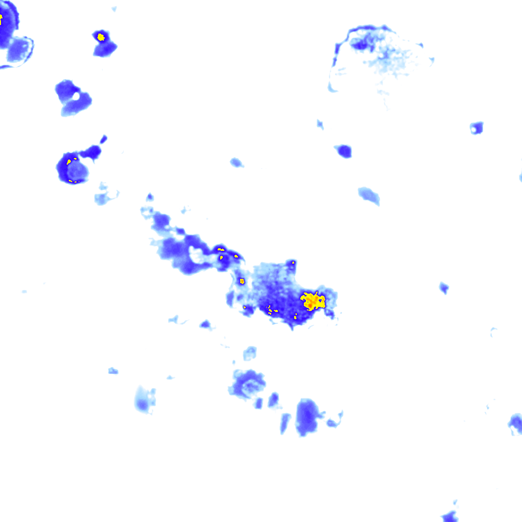 rainLayer