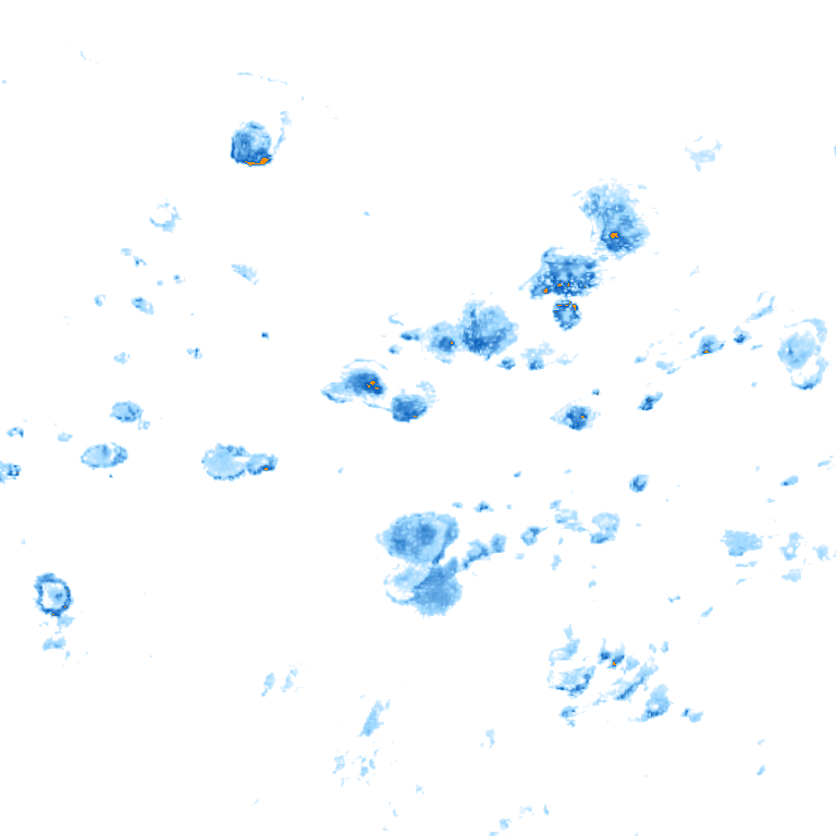 rain layer