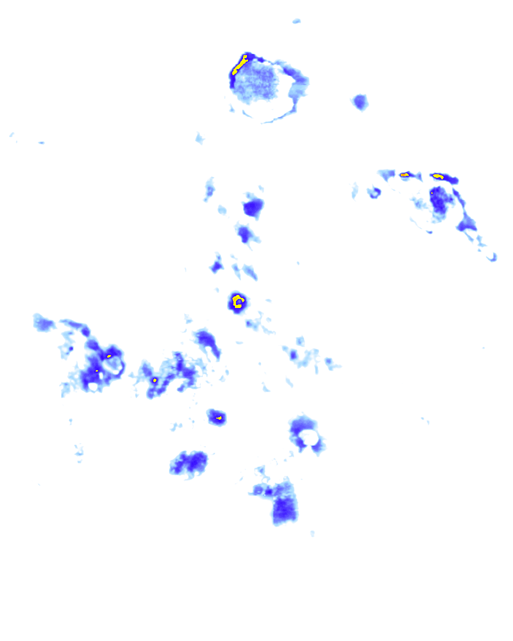 rainLayer