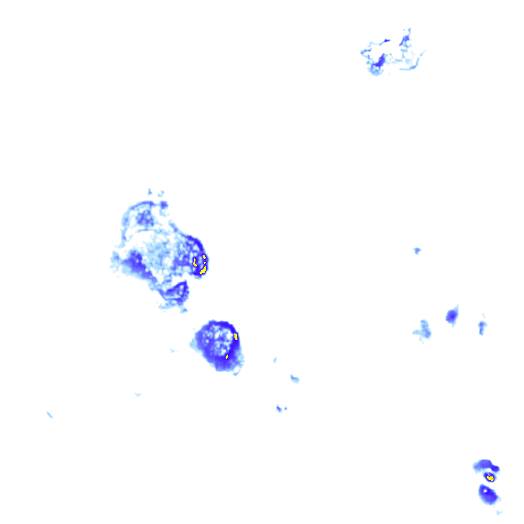 rainLayer