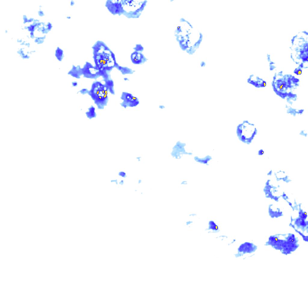 Image Layer
