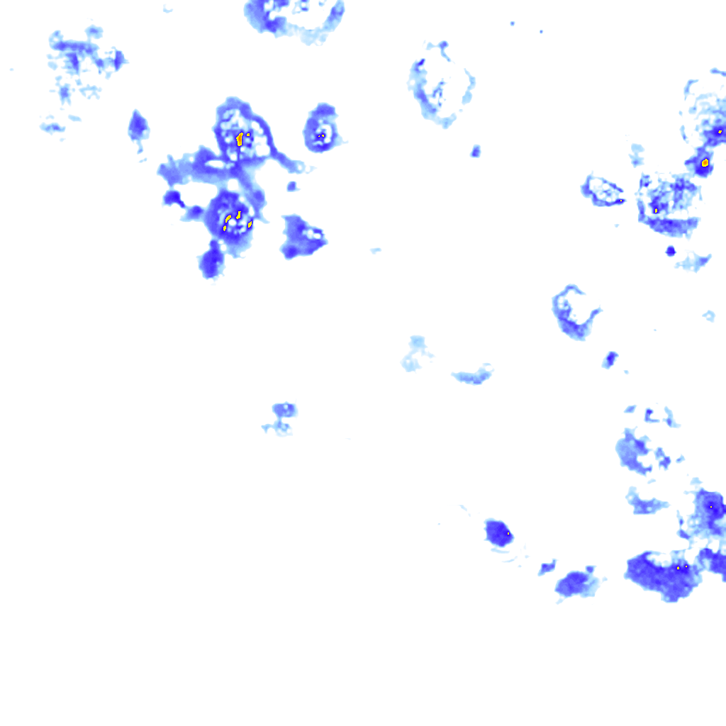 Image Layer