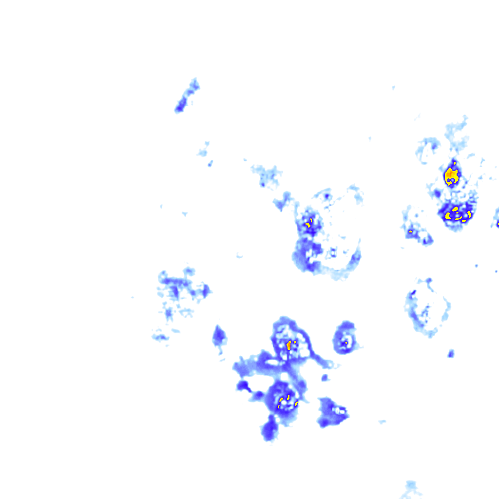 rainLayer