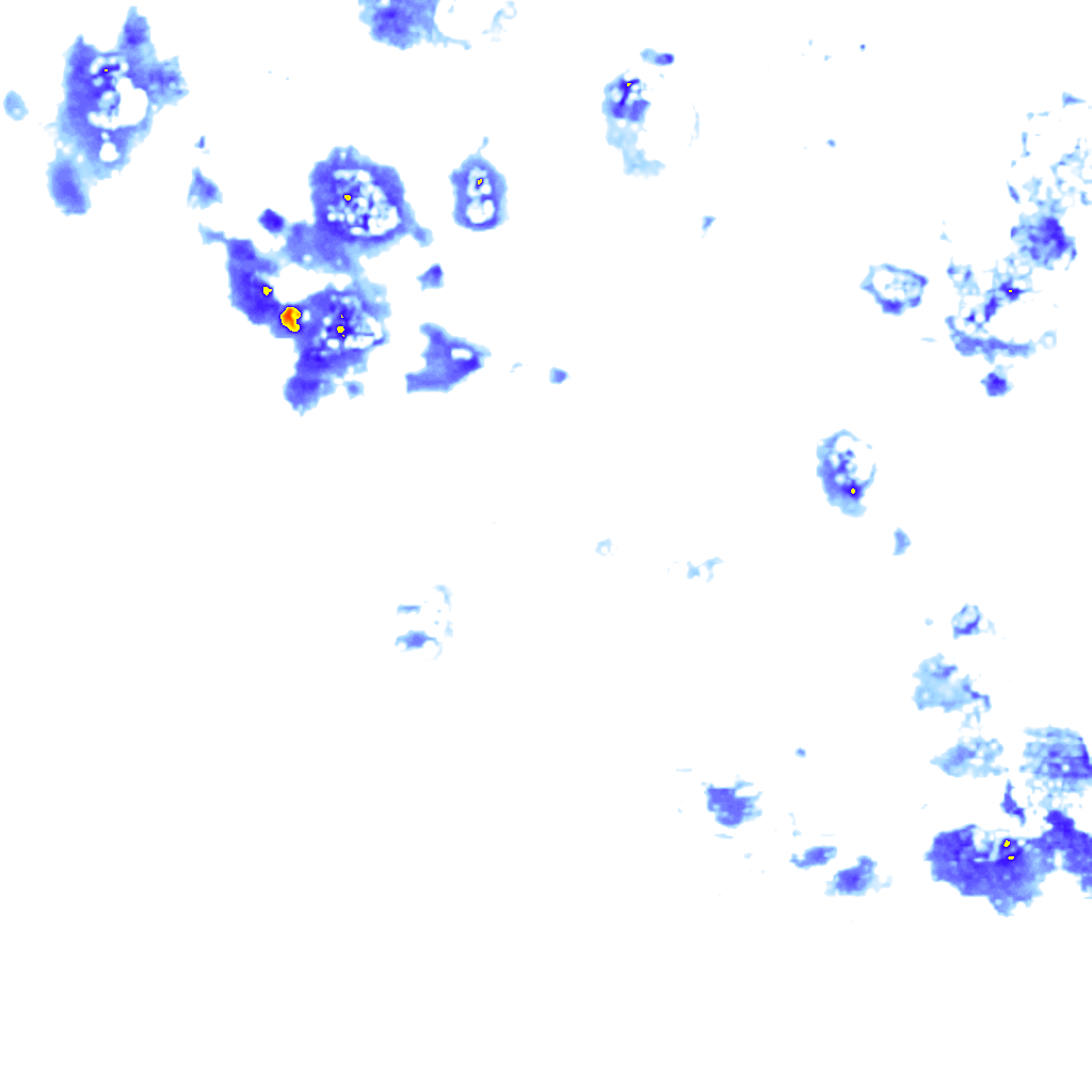 rainLayer