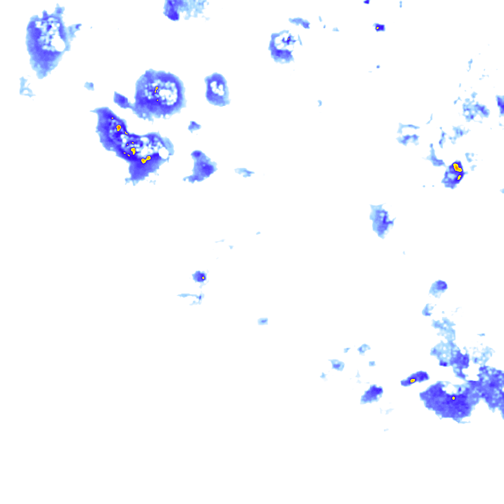 Image Layer