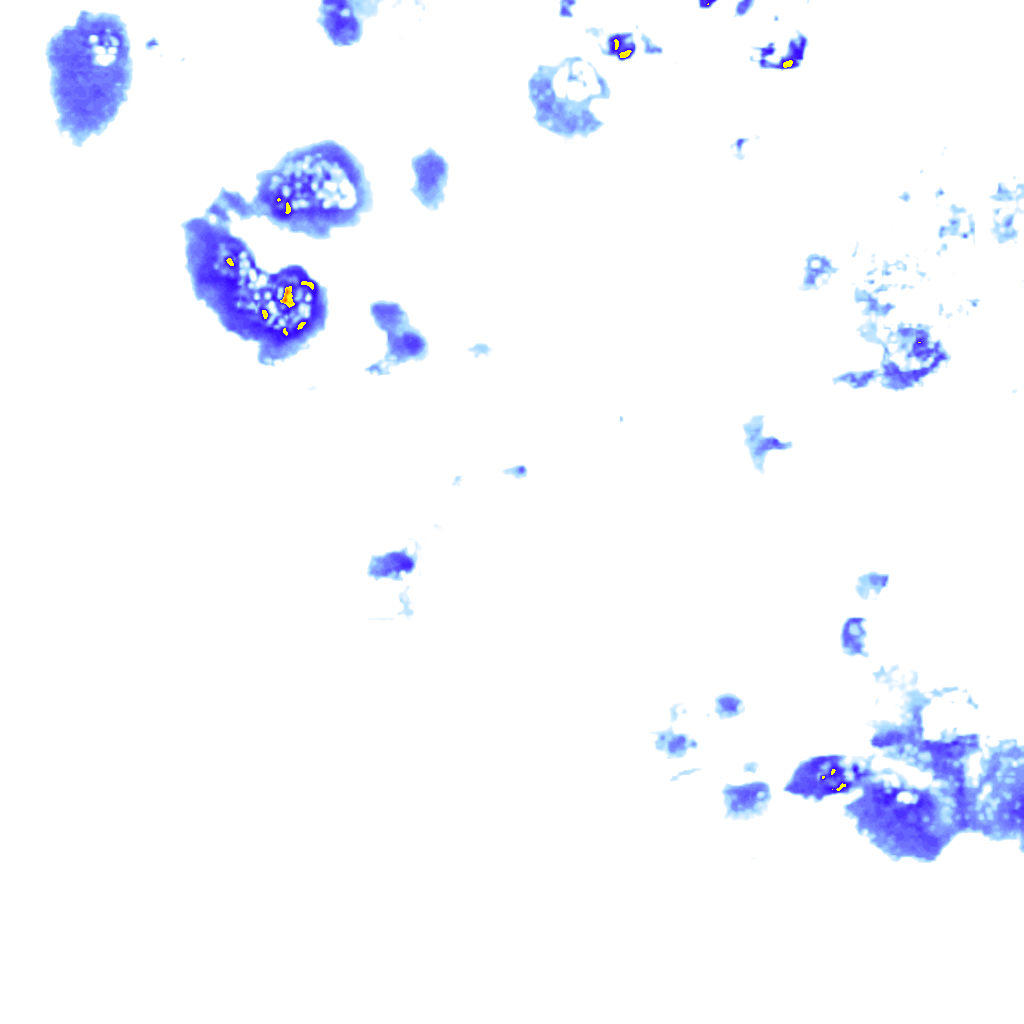 rainLayer