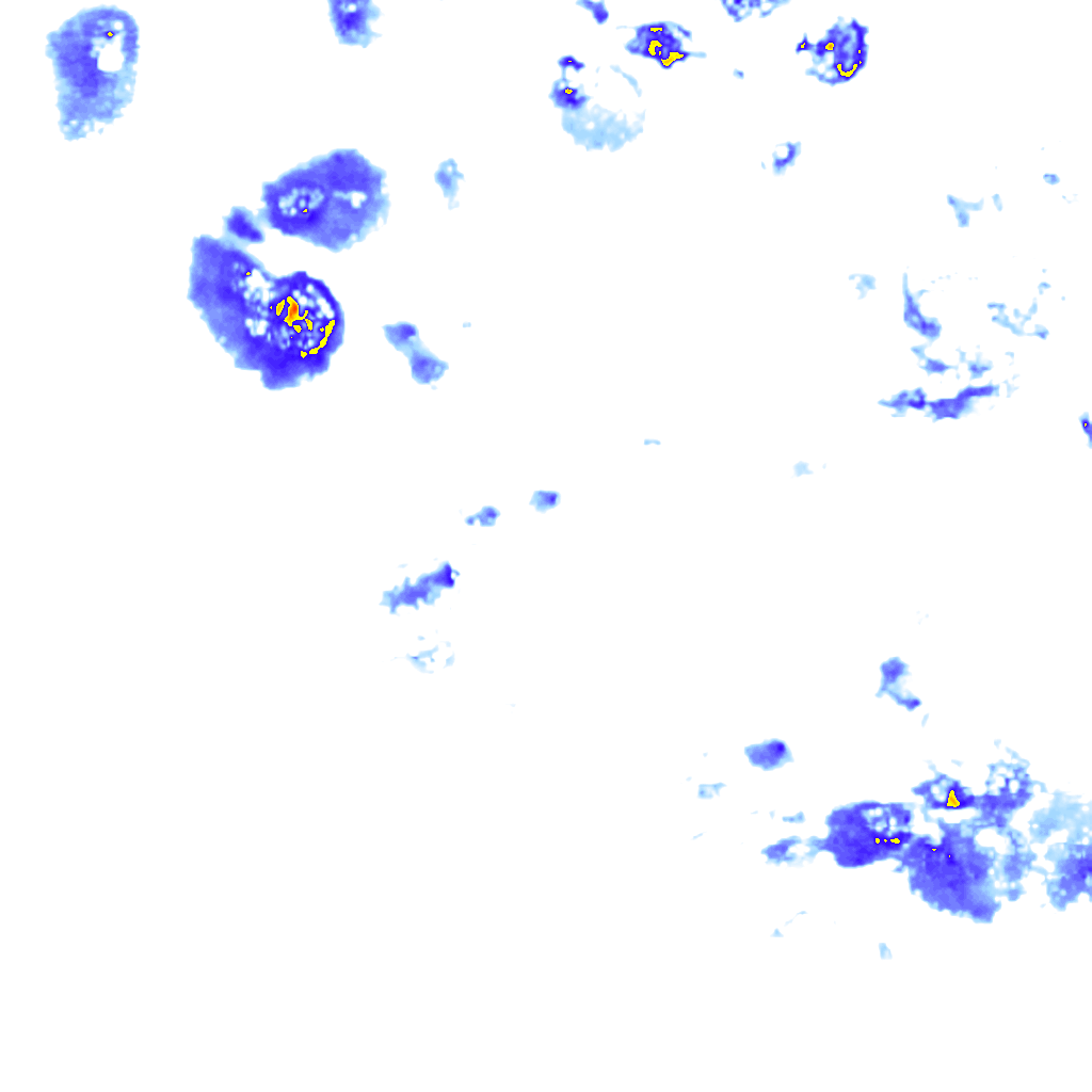 rainLayer
