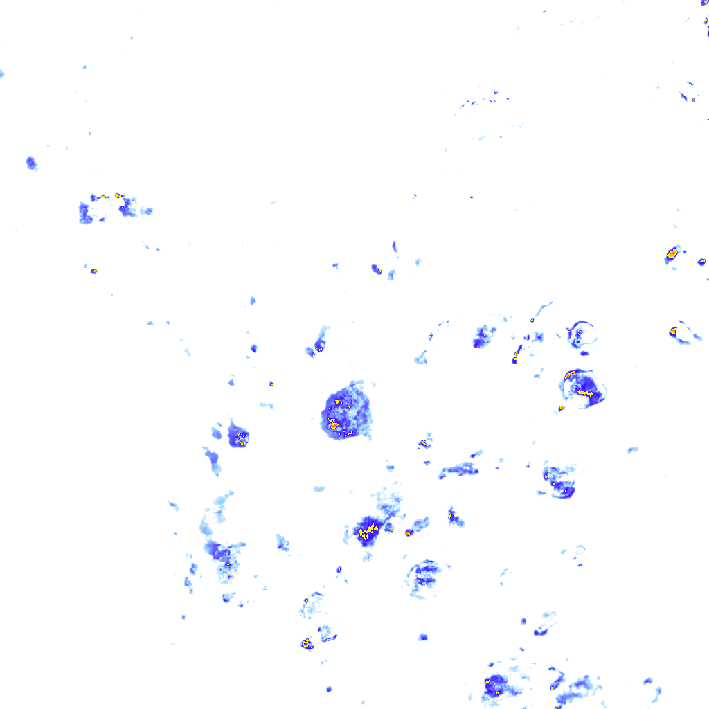 rainLayer