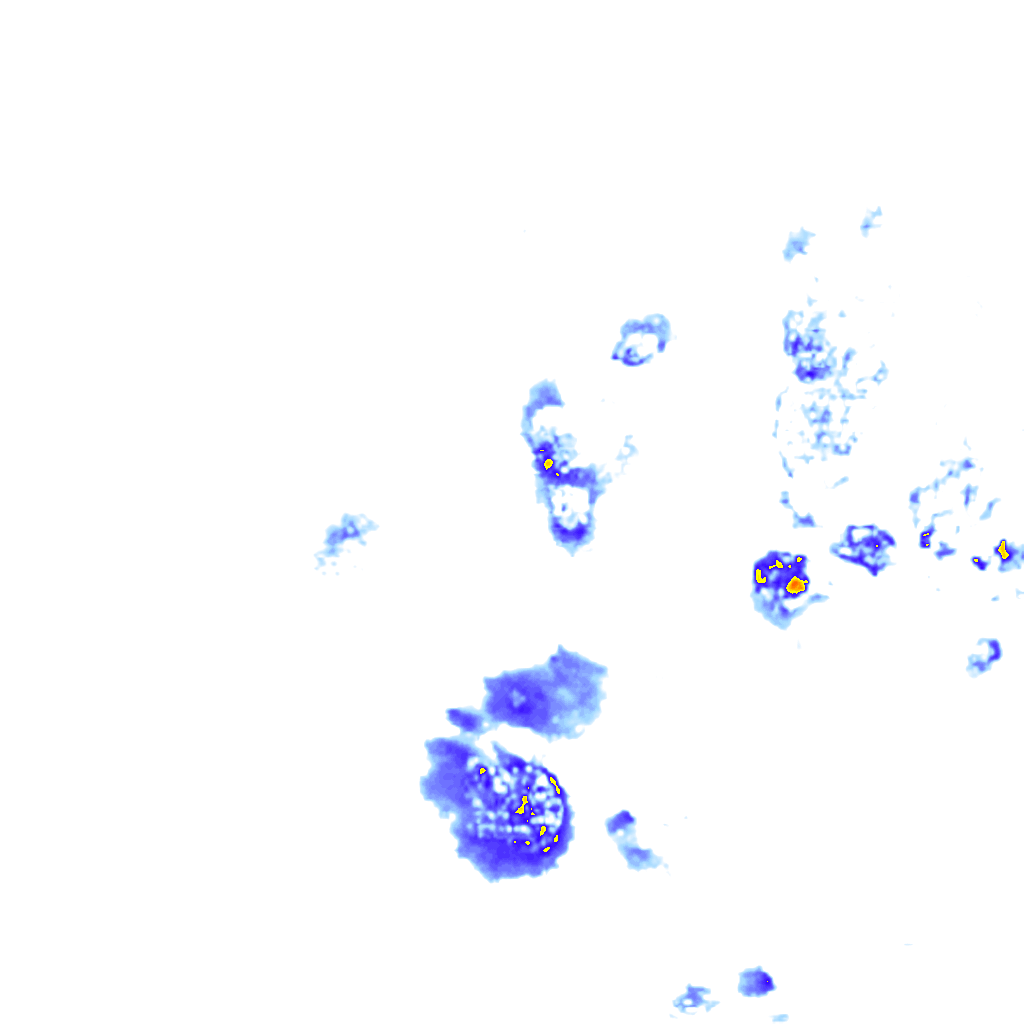 rainLayer