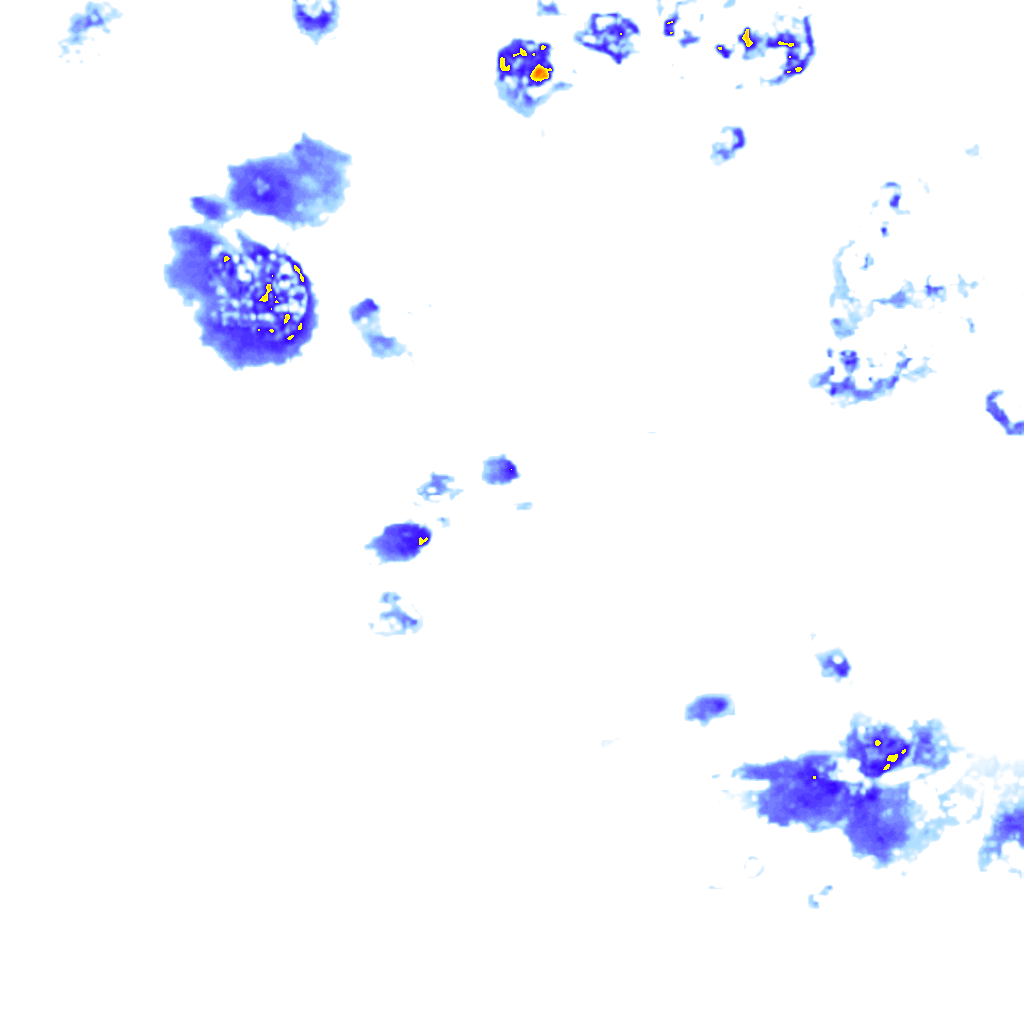 rainLayer