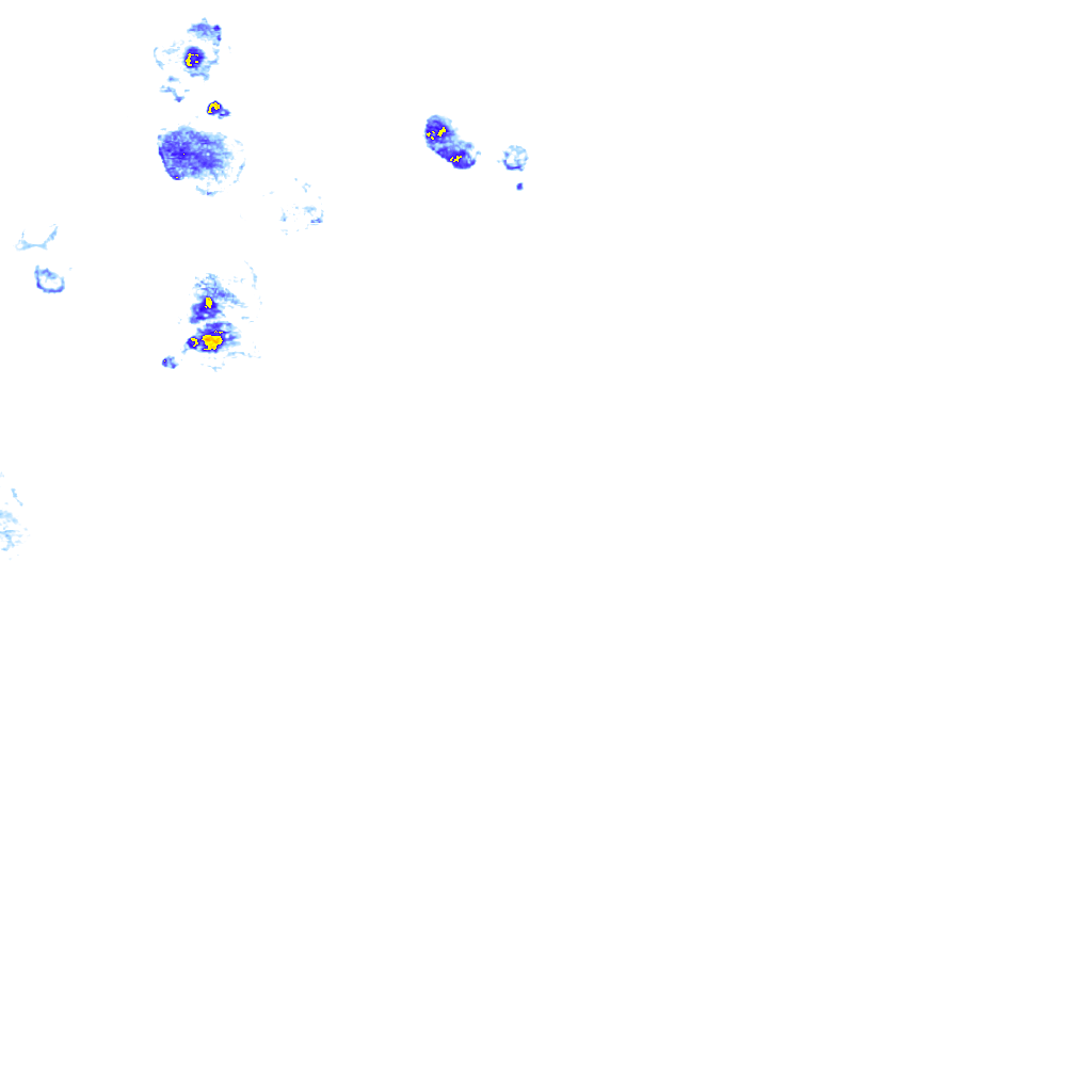 rainLayer