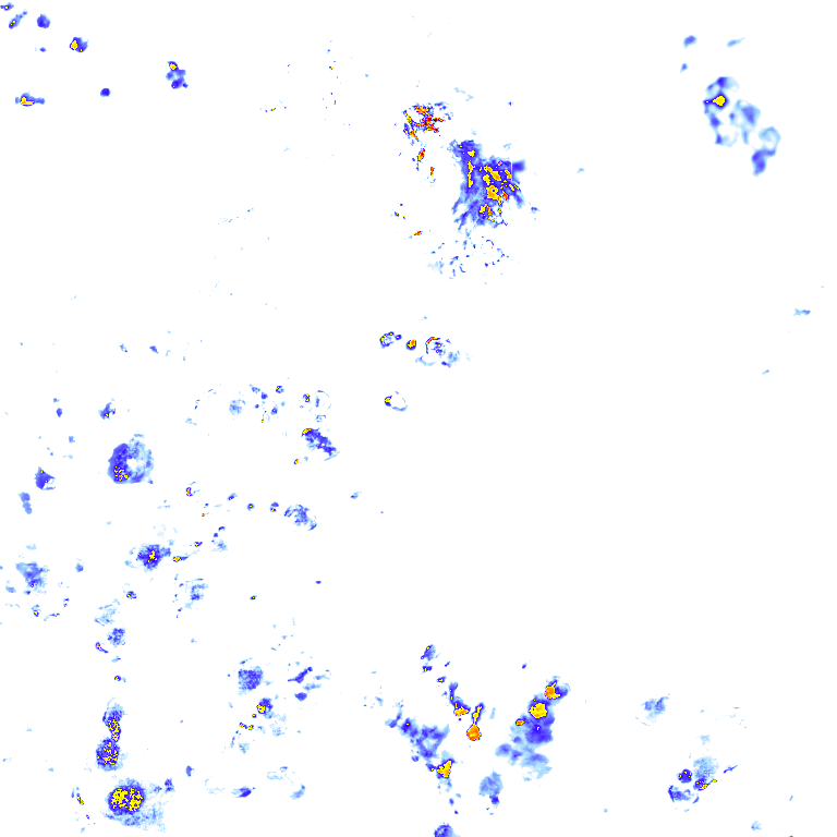 rainLayer