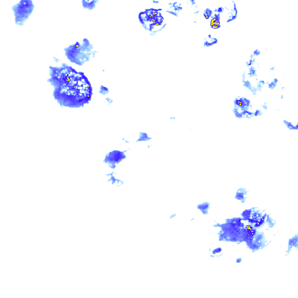 Image Layer