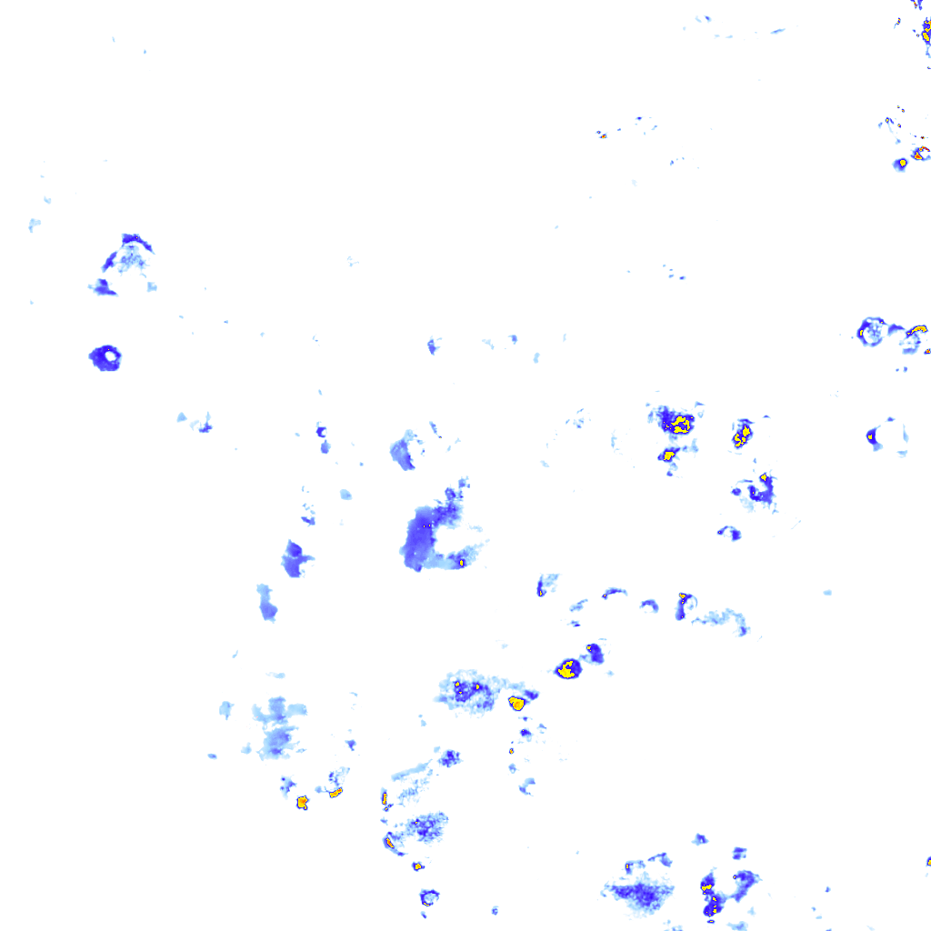 rainLayer