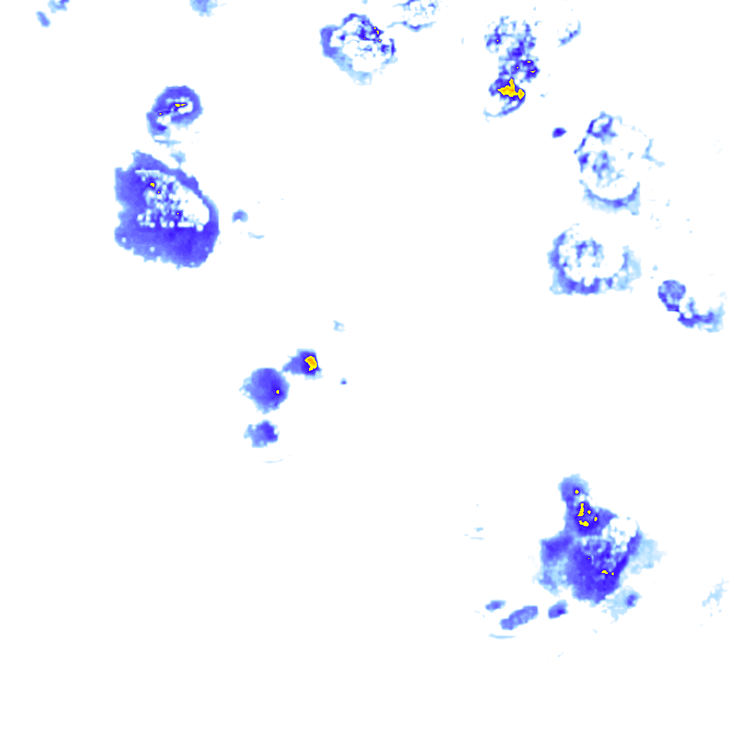rainLayer
