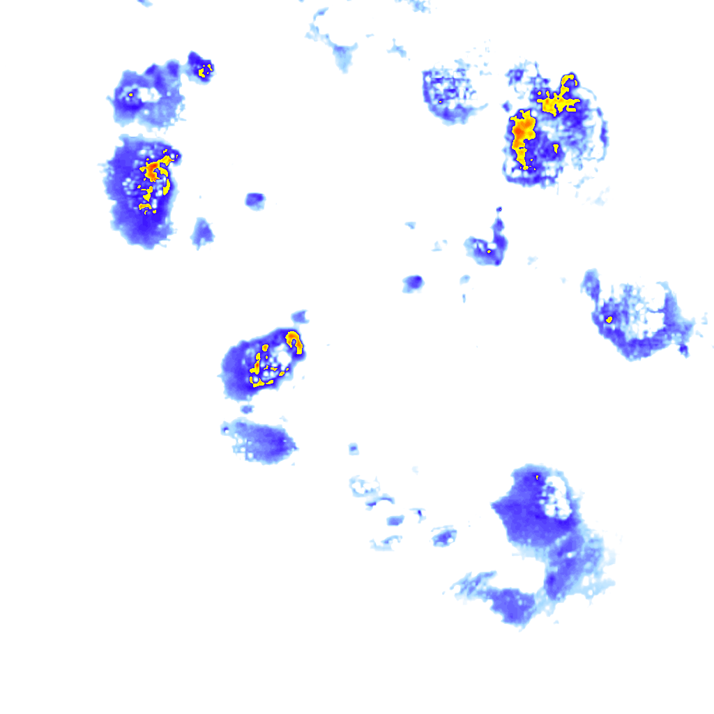 Image Layer