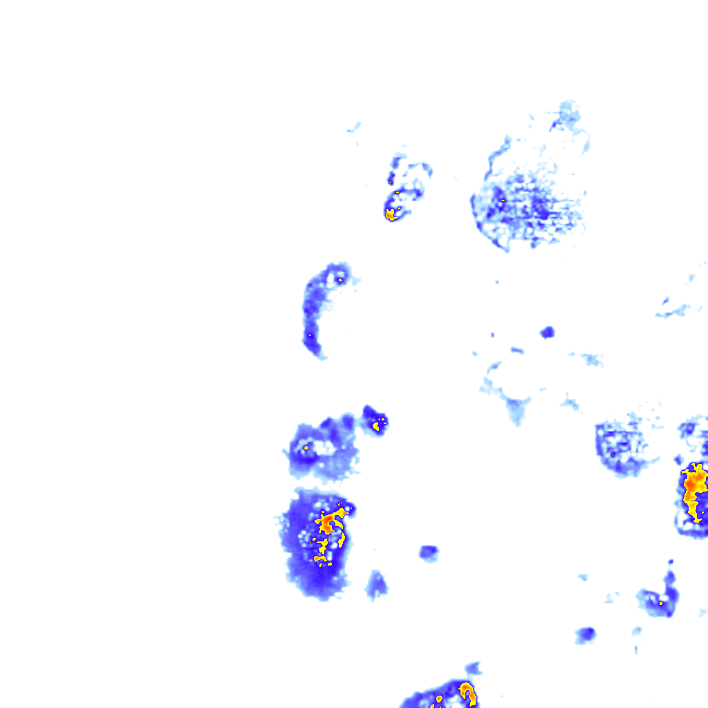 Image Layer